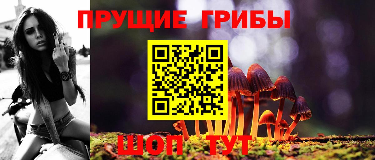Псилоцибиновые грибы GOLDEN TEACHER  Вход с VPN  Краснотурьинск 