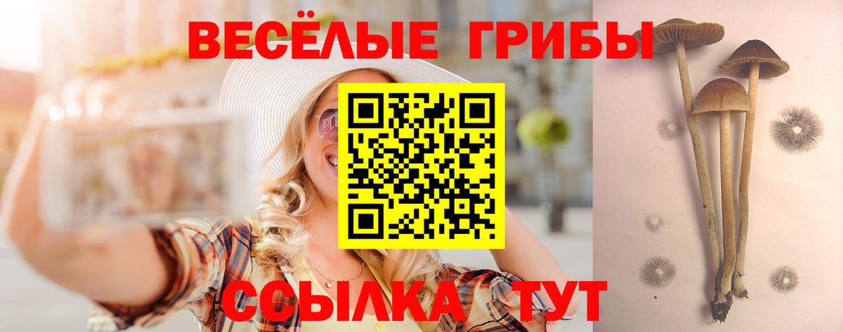 Псилоцибиновые грибы прущие грибы Краснотурьинск